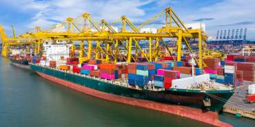 dostavka-kokosovogo-volokna-iz-indii-i-shri-lanki-v-belarus