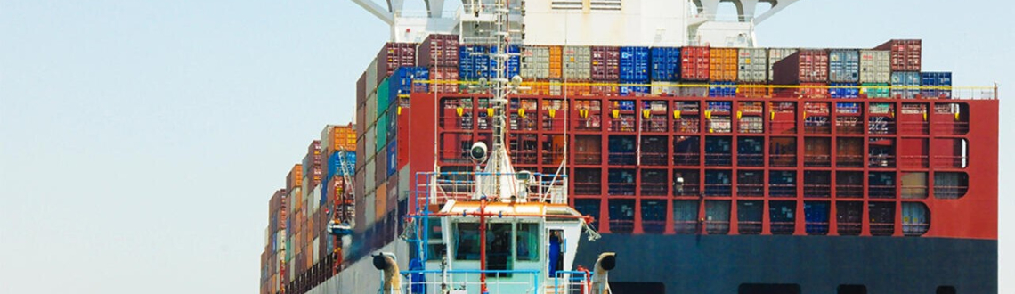 Logistics Market Situation as of June 22, 2026 | Inter-Freight LLC
